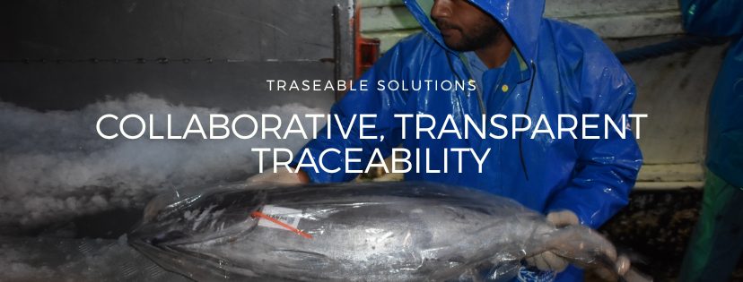 TraSeable Solutions